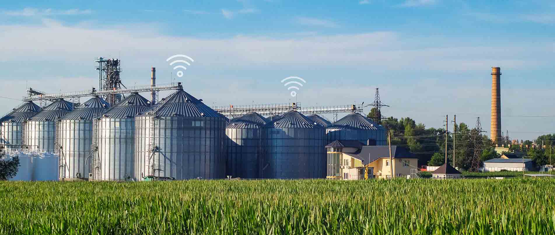 pp电子游戏官方网站助力夏粮存储新招式，科技手段更有效