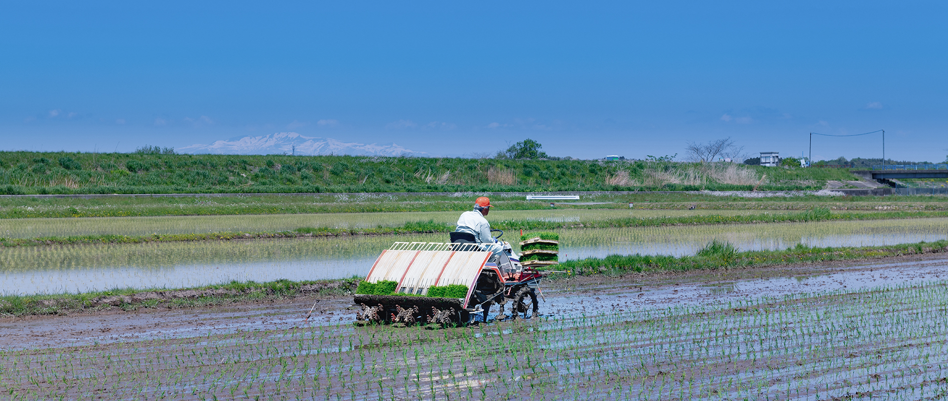 农机水田作业的“智慧大脑”——沃地泰FMA210，告别“经验种植”，开启精准高效农业之旅